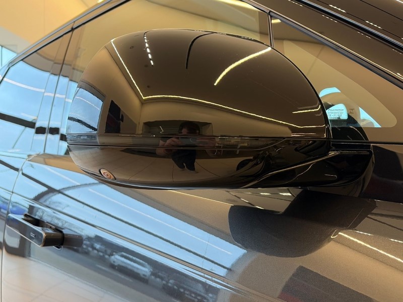 2025 (75) LAND ROVER RANGE ROVER SPORT 3.0 D250 Edition 5dr Auto 4899055