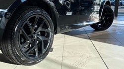 2024 (73) LAND ROVER RANGE ROVER SPORT 3.0 D300 Dynamic SE 5dr Auto 4911168