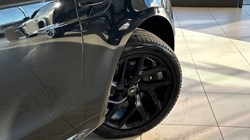 2024 (73) LAND ROVER RANGE ROVER SPORT 3.0 D300 Dynamic SE 5dr Auto 4911169