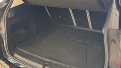 2024 (24) BMW X1 sDrive 20i MHT xLine 5dr Step Auto 4910031