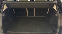 2024 (24) BMW X1 sDrive 20i MHT xLine 5dr Step Auto 4910007