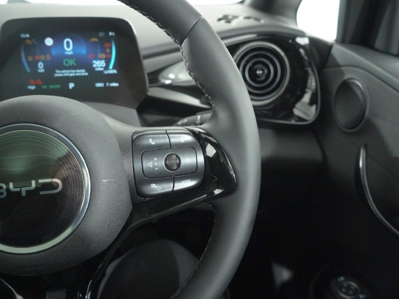  BYD DOLPHIN 150kW Design 60.4kWh 5dr Auto 5398536