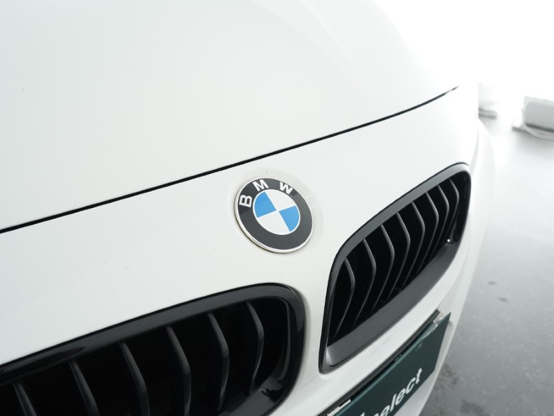 2019 (19) BMW 3 SERIES 320i M Sport Shadow Edition 5dr Step Auto 3533792