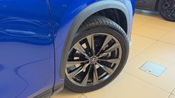 2025 (25) LEXUS NX 450h PLUS 2.5 F-Sport Takumi 5dr E-CVT 5170434
