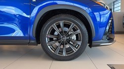 2025 (25) LEXUS NX 450h PLUS 2.5 F-Sport Takumi 5dr E-CVT 5170392