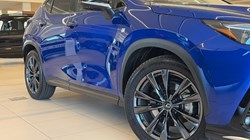 2025 (25) LEXUS NX 450h PLUS 2.5 F-Sport Takumi 5dr E-CVT 5170429