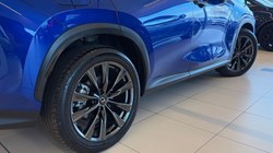 2025 (25) LEXUS NX 450h PLUS 2.5 F-Sport Takumi 5dr E-CVT 5170433