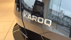 2023 (23) SKODA KAROQ 1.5 TSI SE L 5dr DSG 4933209