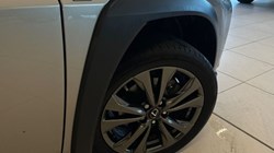 2023 (23) LEXUS UX 250h 2.0 F-Sport Design 5dr CVT 4947323