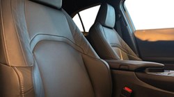 2023 (23) LEXUS UX 250h 2.0 F-Sport Design 5dr CVT 4947303