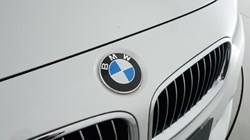 2016 (66) BMW 3 SERIES 320i xDrive Luxury 4dr Step Auto 4754531