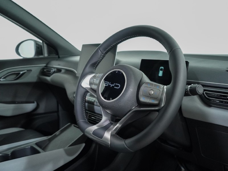 2025 (25) BYD DOLPHIN SURF 65kW Boost 43kWh 5dr Auto 4906643