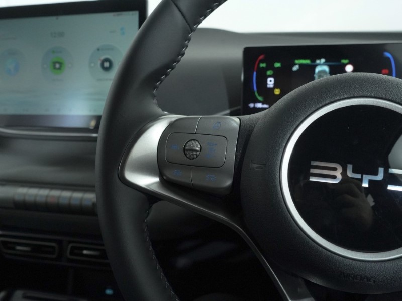 2025 (75) BYD DOLPHIN SURF 65kW Active 30kWh 5dr Auto 4915613