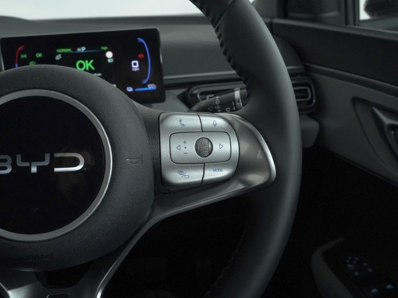 2025 (75) BYD DOLPHIN SURF 65kW Active 30kWh 5dr Auto 4915612