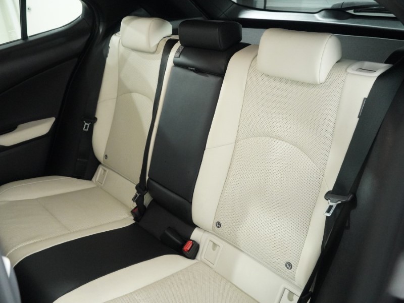 2022 (22) LEXUS UX 250h 2.0 F-Sport 5dr CVT [Nav] 5145882