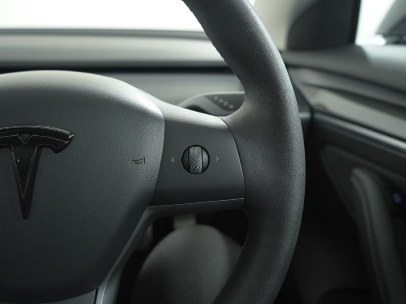 2021 (71) TESLA MODEL 3 Performance AWD 4dr [Performance Upgrade] Auto 5223643