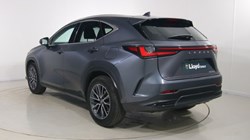 2023 (23) LEXUS NX 350h 2.5 5dr E-CVT 5233784