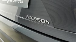 2023 (23) LEXUS NX 350h 2.5 5dr E-CVT 5233743
