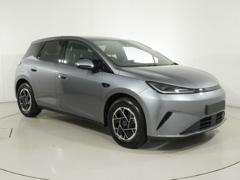 BYD DOLPHIN G