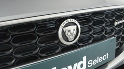 2021 (21) JAGUAR F-TYPE 2.0 P300 R-Dynamic 2dr Auto 5333568