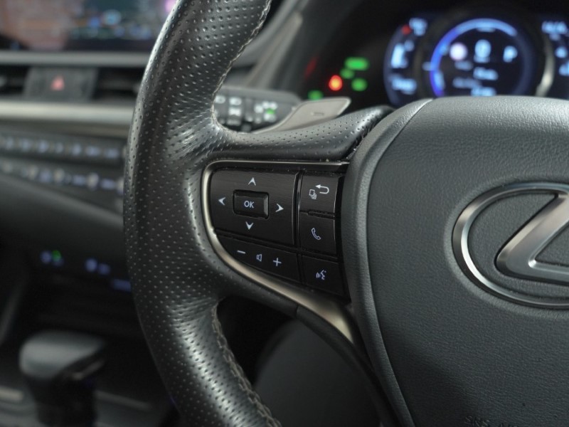 2021 (21) LEXUS ES 300h 2.5 F-Sport 4dr CVT 5496456