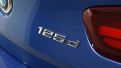 2019 (19) BMW 1 SERIES 125d M Sport Shadow Ed 3dr Step Auto 5714964
