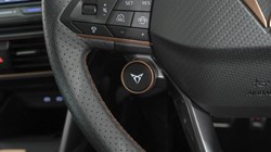 2024 (74) CUPRA FORMENTOR 2.0 TSI 333 VZ1 5dr DSG 4Drive 5729780