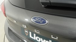 2020 (70) FORD FOCUS 1.0 EcoBoost 125 ST-Line X Edition 5dr Auto 5775943