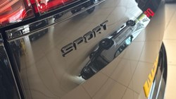 2024 (24) LAND ROVER RANGE ROVER SPORT 3.0 D300 Dynamic SE 5dr Auto 5250384