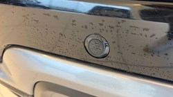 2020 (70) LAND ROVER DISCOVERY SPORT 2.0 P200 R-Dynamic SE 5dr Auto 5009626