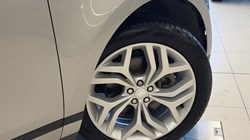 2022 (71) LAND ROVER RANGE ROVER EVOQUE 1.5 P300e R-Dynamic SE 5dr Auto 5004395