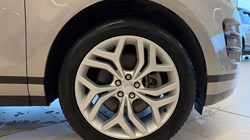 2022 (71) LAND ROVER RANGE ROVER EVOQUE 1.5 P300e R-Dynamic SE 5dr Auto 5004354