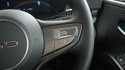 BYD DOLPHIN G 1.5 DM-i 212 Boost 5dr Auto 5794315