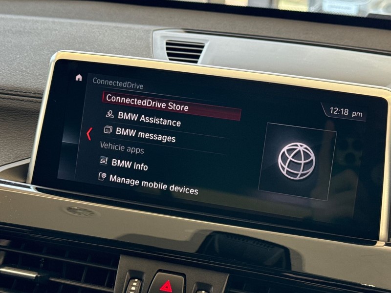 2022 (22) BMW X1 xDrive 20i [178] xLine 5dr Step Auto 4997517