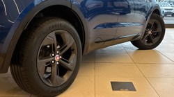 2023 (23) JAGUAR E-PACE 2.0 D200 R-Dynamic Black 5dr Auto 5009834