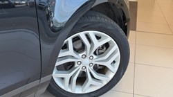 2021 (71) LAND ROVER RANGE ROVER EVOQUE 1.5 P300e R-Dynamic SE 5dr Auto 5175499