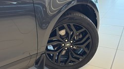 2023 (72) LAND ROVER RANGE ROVER EVOQUE 1.5 P300e R-Dynamic HSE 5dr Auto 5083687