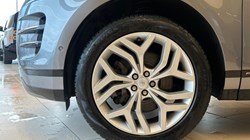 2020 (70) LAND ROVER RANGE ROVER EVOQUE 2.0 P200 R-Dynamic SE 5dr Auto 5095065