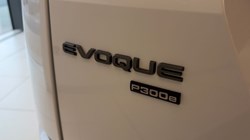2023 (23) LAND ROVER RANGE ROVER EVOQUE 1.5 P300e R-Dynamic S 5dr Auto 5071730
