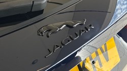 2023 (23) JAGUAR F-PACE 2.0 D200 R-Dynamic SE Black 5dr Auto AWD 5124255