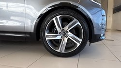 2024 (74) LAND ROVER DISCOVERY 3.0 D300 Metropolitan Edition 5dr Auto 5127436