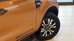 2019 (69) FORD COMMERCIAL RANGER Pick Up Double Cab Wildtrak 3.2 EcoBlue 200 Auto 5102876