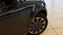 2024 (24) LAND ROVER RANGE ROVER EVOQUE 1.5 P300e Dynamic HSE 5dr Auto 5156372