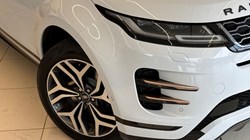 2019 (69) LAND ROVER RANGE ROVER EVOQUE 2.0 D180 First Edition 5dr Auto 5153249