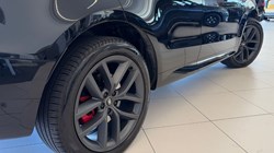 2024 (24) LAND ROVER RANGE ROVER SPORT 3.0 D300 Dynamic SE 5dr Auto 5430766