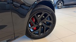 2025 (25) LAND ROVER RANGE ROVER SPORT 3.0 D250 Edition 5dr Auto 5191717