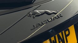 2023 (23) JAGUAR F-PACE 2.0 P250 R-Dynamic SE Black 5dr Auto AWD 5282147