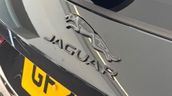 2023 (23) JAGUAR F-PACE 2.0 P250 R-Dynamic SE Black 5dr Auto AWD 5282146