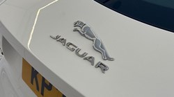 2021 (21) JAGUAR F-TYPE 2.0 P300 R-Dynamic 2dr Auto 5317399