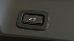 2020 (70) LAND ROVER RANGE ROVER EVOQUE 2.0 D180 First Edition 5dr Auto 5453817